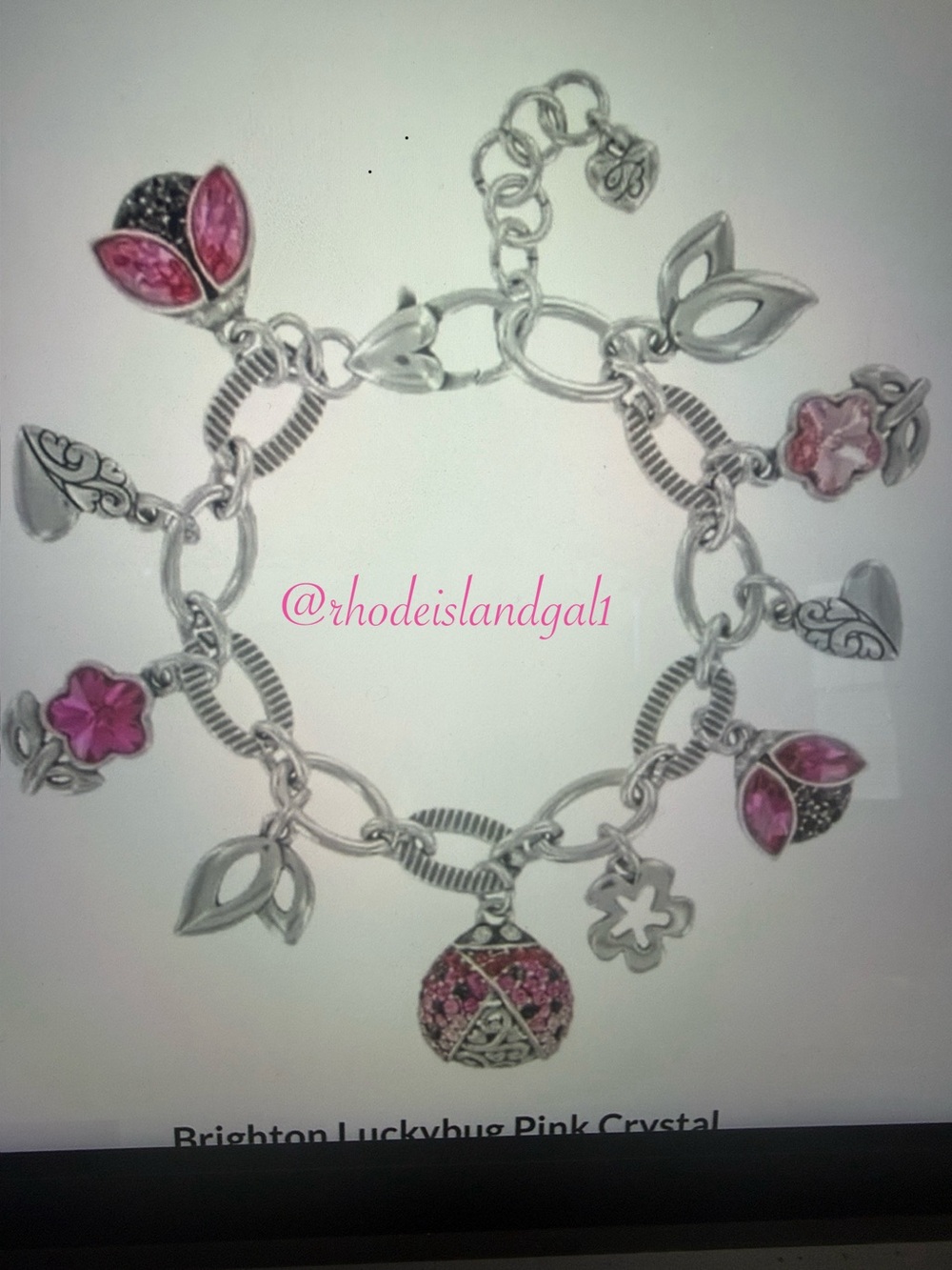 💕🆕 Brighton Lucky Ladybug Charm Bracelet NWT Rare Find * Perfect For Collectors